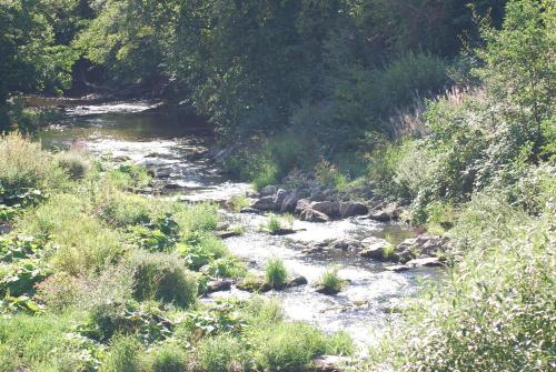 周邊環境, Alte Schule Gästehaus - The principal's rooms Appartment (Alte Schule Gastehaus - The principal's rooms Appartment) in 比特堡