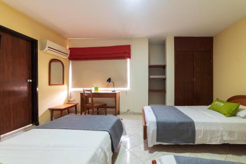 Ayenda 1502 Principe