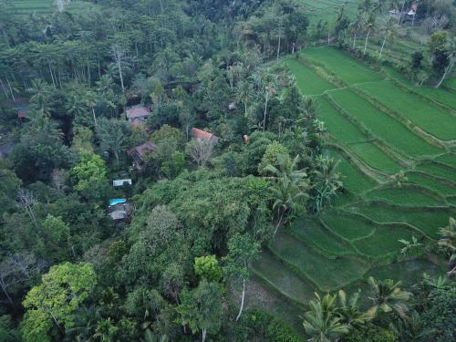 Mi Casa - The gem of Ijen