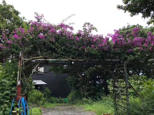 tuin, 銀河荘-Galaxy Guesthouse 12歳以下不可 in Hachijo Island