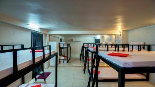 Siem Reap Pub Hostel Room Type - Single Bed in 12-Bed Mixed Dormitory Room