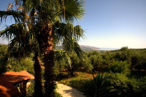 Elia Traditional Hotel & Spa