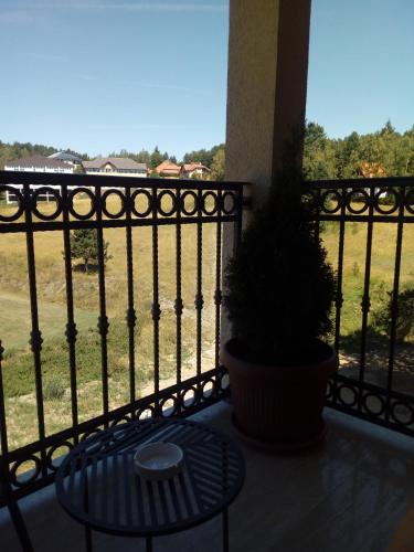 Studio apartment Paun Vila Elsa I Zlatibor - image 8