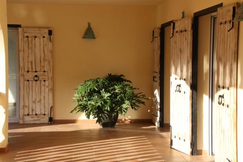 Erkély/terasz, Villa Foia Vella - adults only in Benichembla