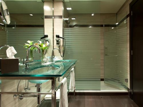 Hotel Maydrit Airport, Madrid (foto 11)