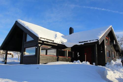 Lev-Vel - 10 person cabin, Al (zdjęcie 2)