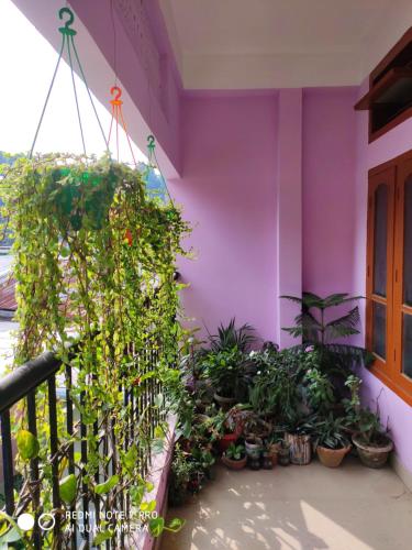 Kobitaloi Home Stay, River Side
