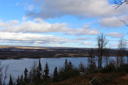 Torshaug 4 bedroom cabin in 市中心