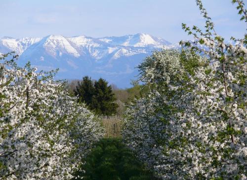 Ferienwohnung am Tuniswald in لانجينارجين