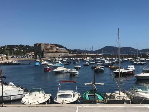 B&B Toulon - Grand T2 43m2 plages du Mourillon - Bed and Breakfast Toulon