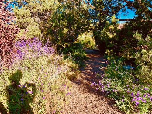 The Yoga Yurta at Sunny Mellow Eco Villa in Tijeras, USA