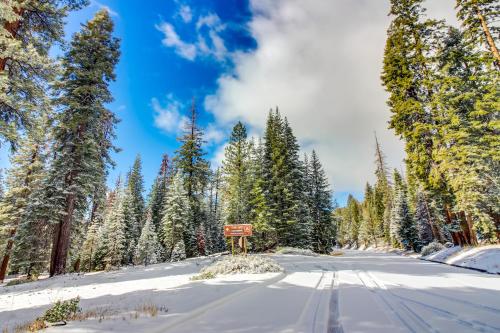 Kokanee Cove - image 6