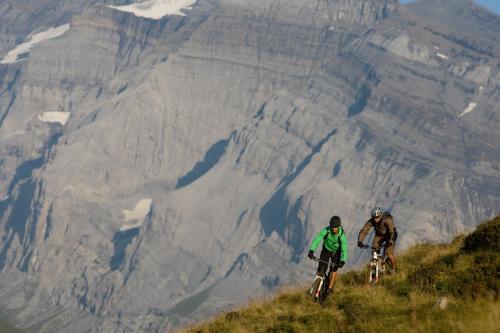 Pradas Resort Brigels - image 8