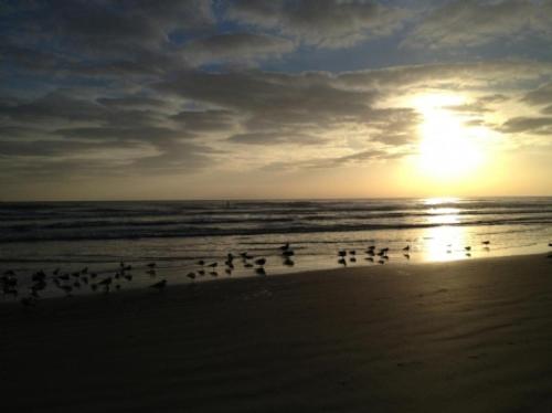 Barefoot Trace 213 - image 5