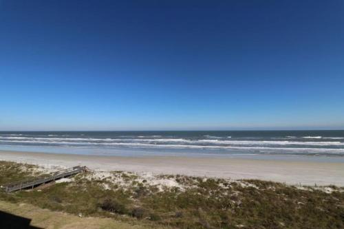 Sand Dollar 2-405 - image 5