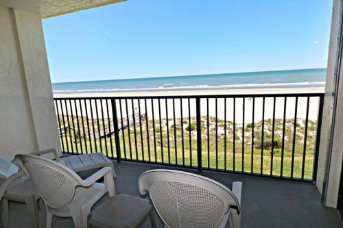 Sand Dollar 2-303 - image 4