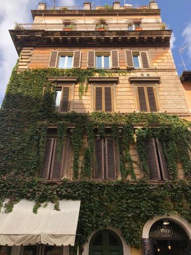 Vatican Color House, Rome (photo 7)