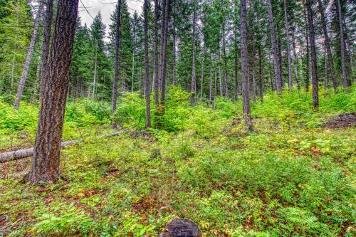 Mountains Are Calling Cabin & Guest Cottage - main image