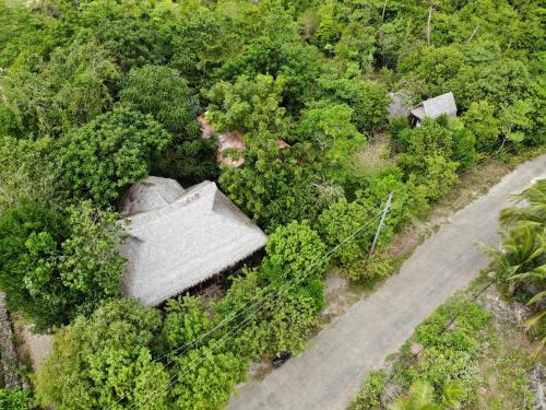 Lazy Lizard Hostel in Illa Siquijor