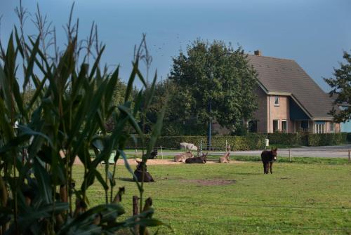  Bed & Breakfast 'Op 7', Pension in Hooghalen bei Assen