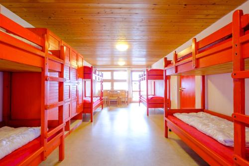 Bed in 10-Bed Mixed Dormitory Room with Shared Bathroom