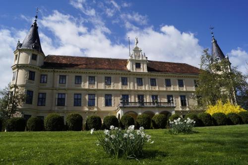 Schloss Puchberg - image 2
