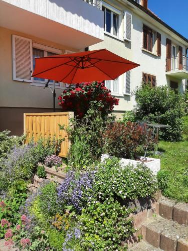 BodenSEE Privatzimmer "Haus am Weinberg Konstanz"