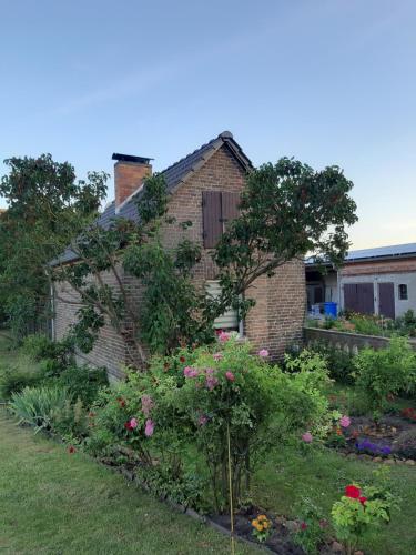 Zur alten Sommerküche in Markische Heide, Deutschland