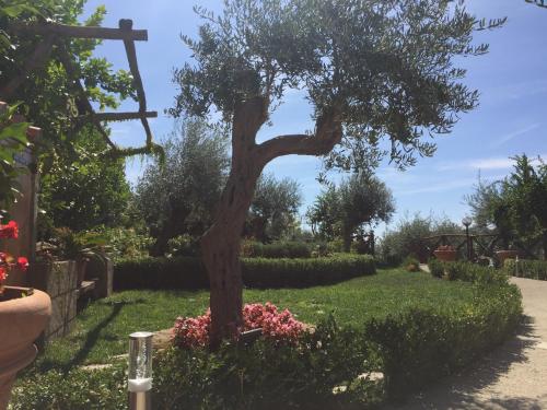 B&B Fior Tramonti 5