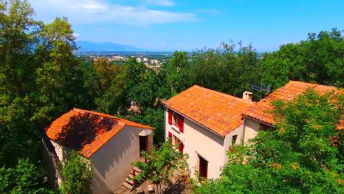 Viesnīcas āriene, Maison de la Vigne in Venzolasca
