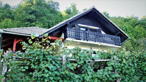 Vineyard Cottage Zajc - Semič