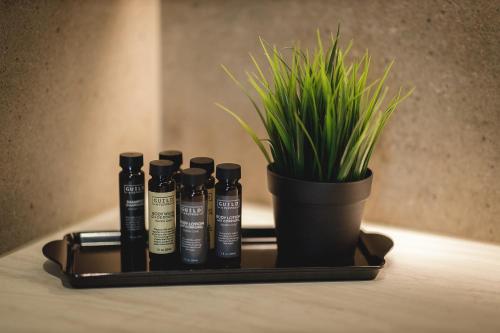 220495984 Boutique Hotel Sunrose 7 - Gourmet & SPA