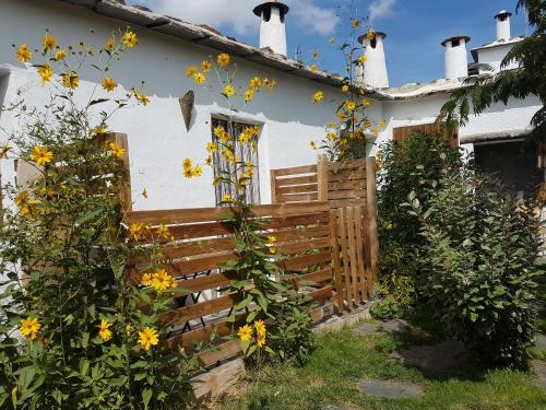 Apartment with Garden View