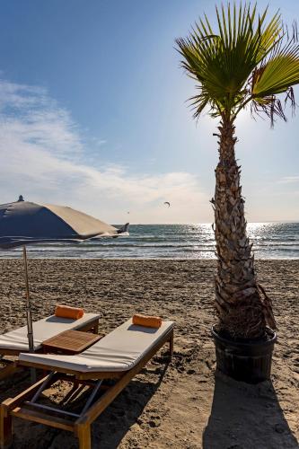 Hotel & Spa Les Bains de Camargue by Thalazur - image 2