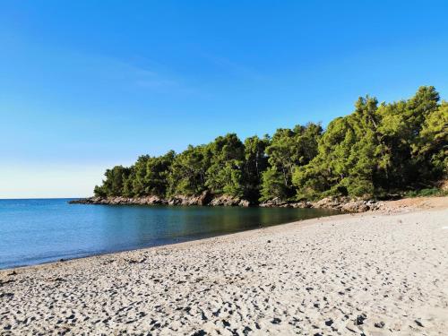 Maki Apartments - Plavi Horizonti Beach - image 2