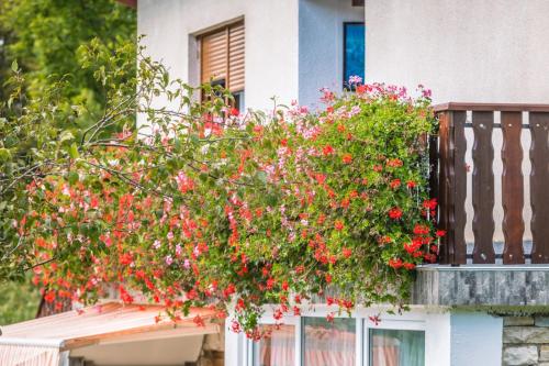 Plitvice House Milan - image 9