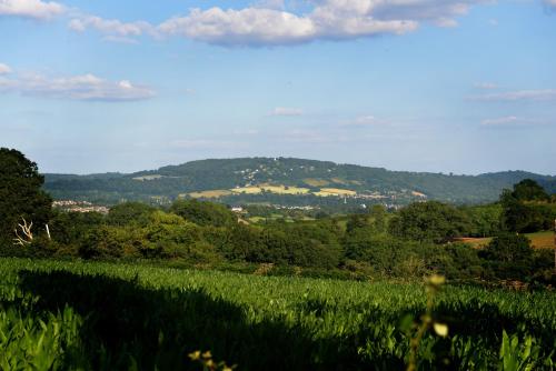 Steppes Farm Cottages - image 9