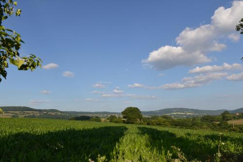 Steppes Farm Cottages - image 13