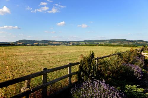 Steppes Farm Cottages - image 4