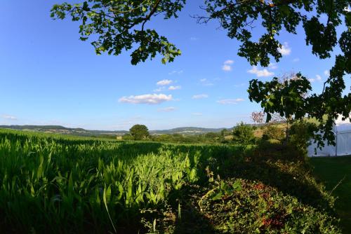 Steppes Farm Cottages - image 10