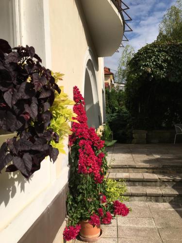 Hotel Lužná