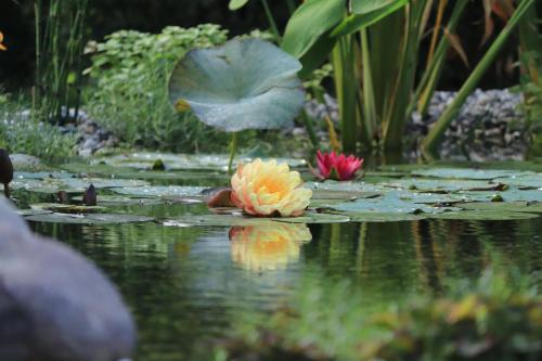  Profumo di casa in Trescore Balneario
