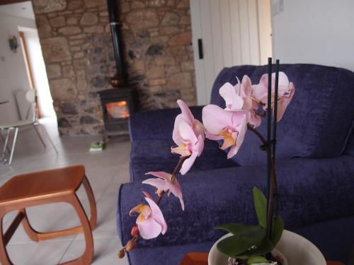 Cockle Kitty Cottage – Kelso