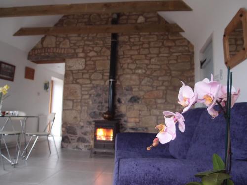 Cockle Kitty Cottage – Kelso