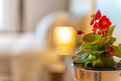  Georgalas Sun Beach Rooms in Nea Kallikratia