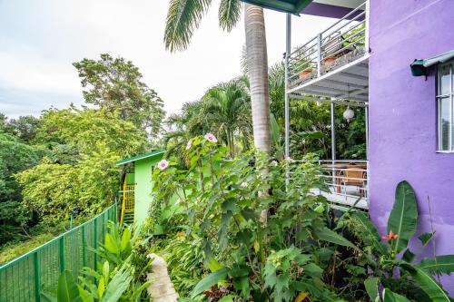 Garden, Peace of Paradise Breakfast Included Free Manuel Antonio Park Tour in Quepos