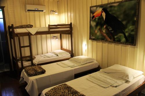 Pantanal Jungle Lodge