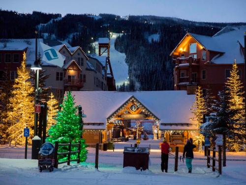 Premier Red Hawk Lodge 2 Br~Walk To Slopes~Kids Ski Free Condo - image 8