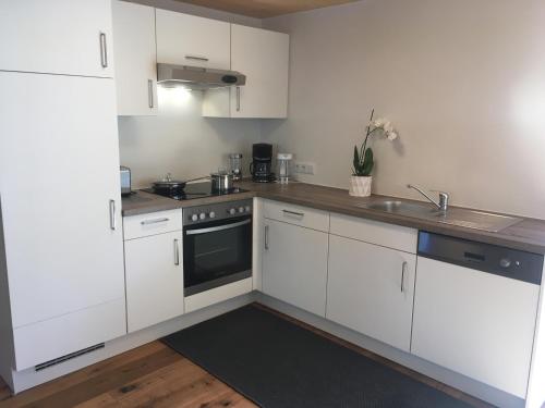 ห้องครัว, Wohnung in zentraler Lage im Rheintal in กอทซิส