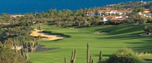 VLE- 1202-OCEAN FRONT RESORT- WALKING DISTANCE TO TOWN! SWIMMABLE BEACH!